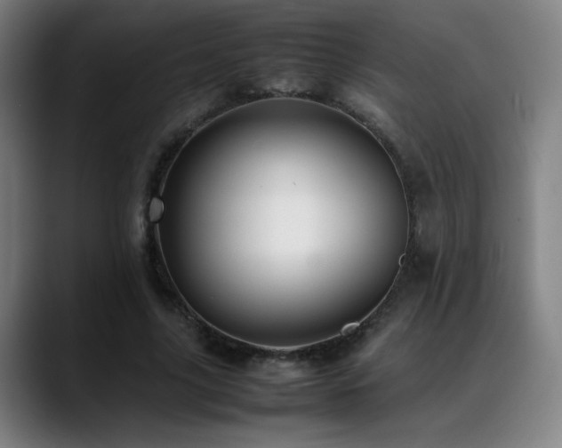 X0000089350635200706151102