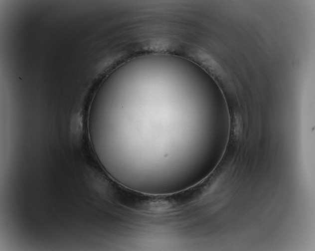 X0000089350636200706151102