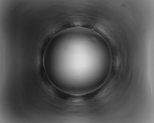 X0000089350639200706151102