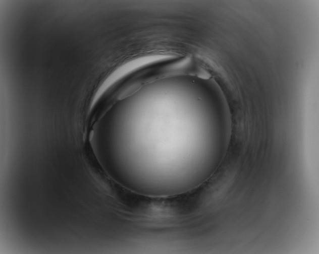 X0000089350641200706151102