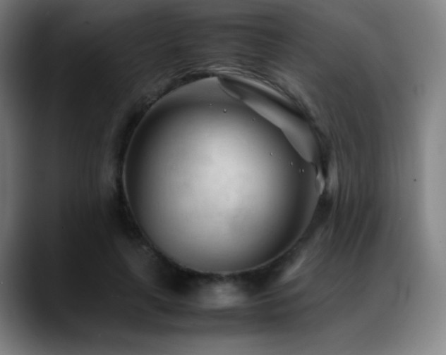 X0000089350643200706151102