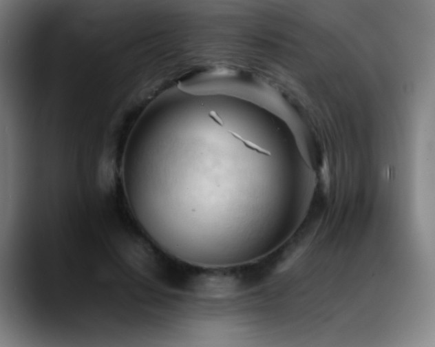 X0000089350644200706151102