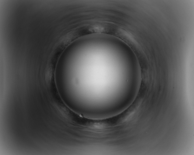 X0000089350645200706151102