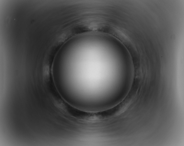 X0000089350646200706151102
