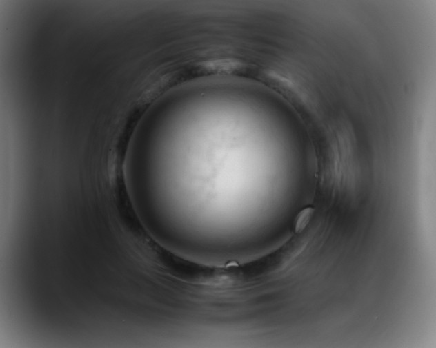 X0000089350647200706151102