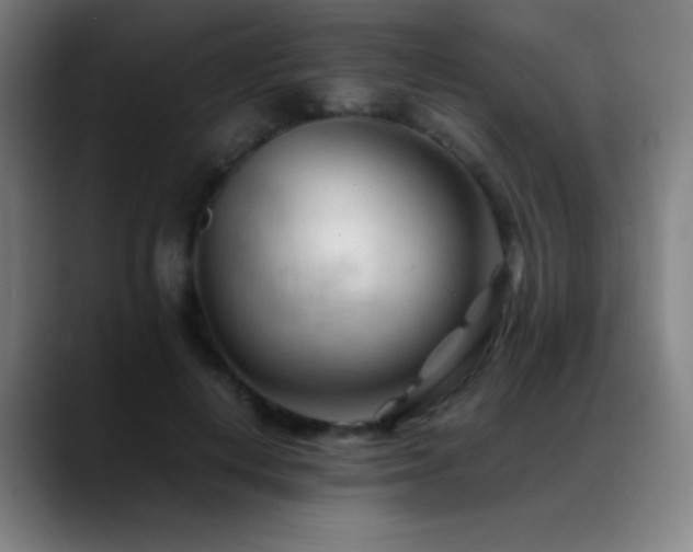 X0000089350648200706151102