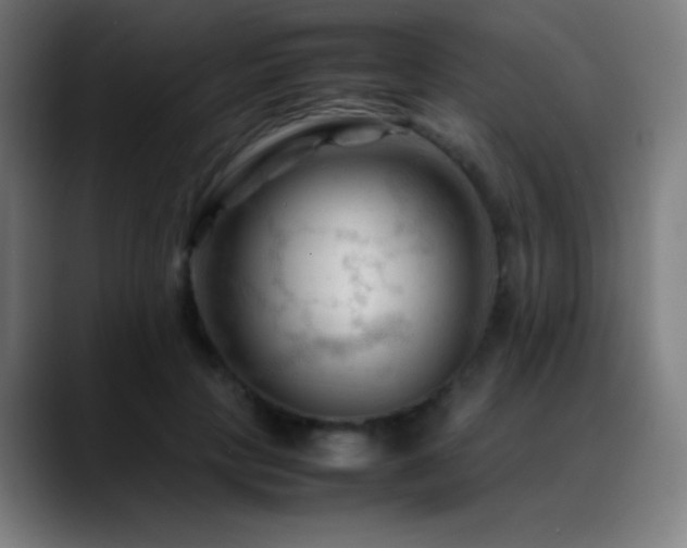 X0000089350649200706151102