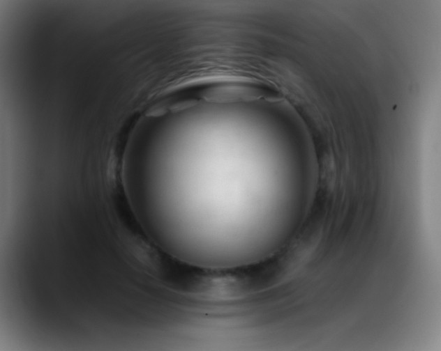 X0000089350650200706151102