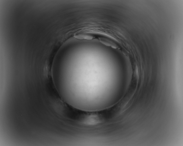 X0000089350651200706151102