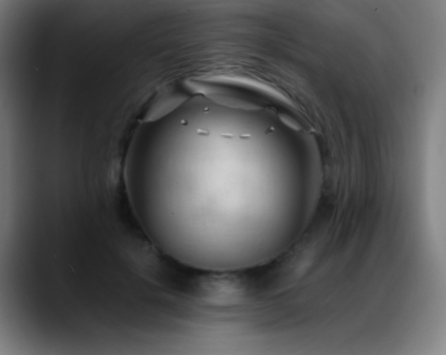 X0000089350652200706151102
