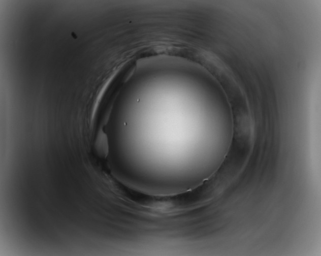 X0000089350653200706151102