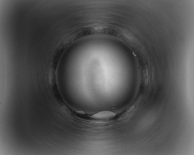 X0000089350654200706151102