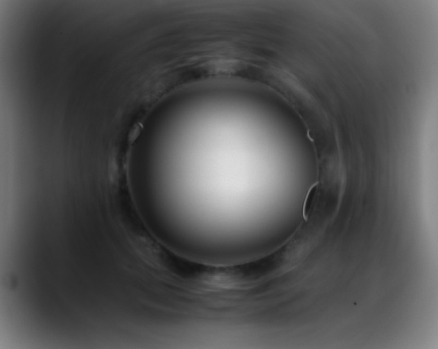 X0000089350655200706151102