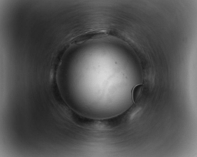 X0000089350656200706151102