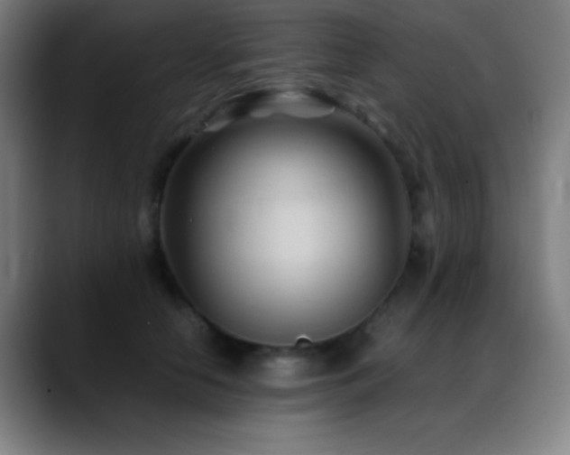X0000089350658200706151102