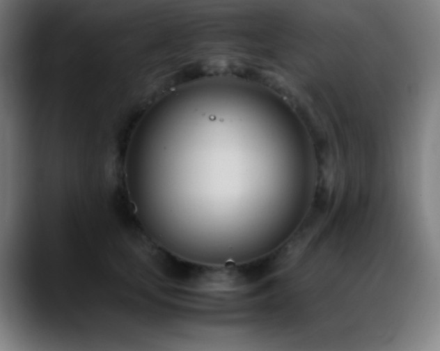 X0000089350659200706151102
