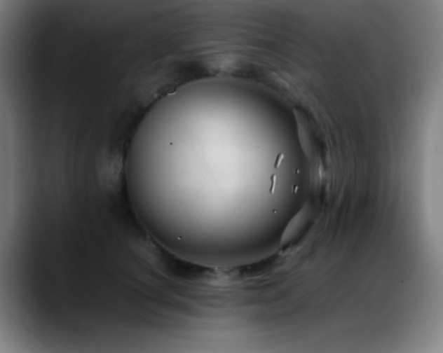 X0000089350660200706151102