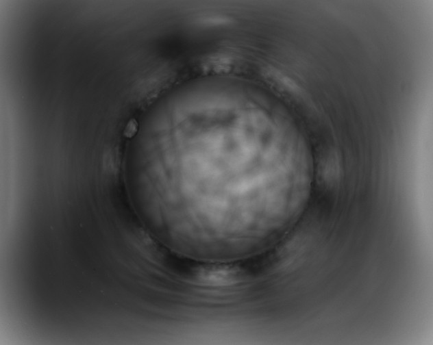 X0000089350661200706151102