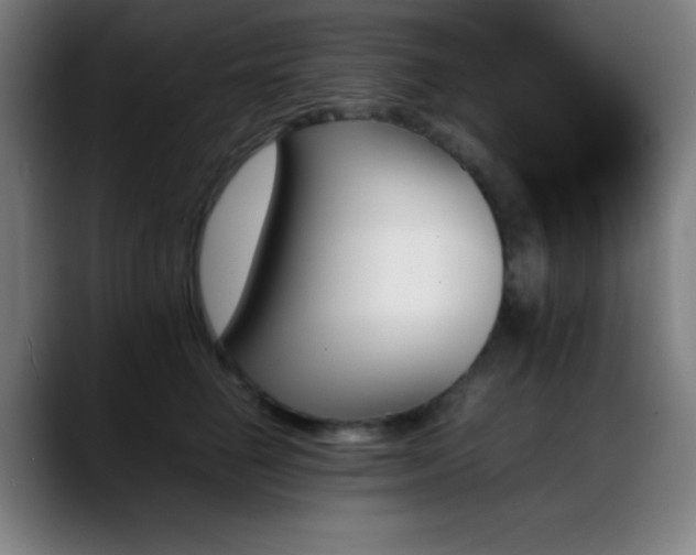 X0000089350662200706151102