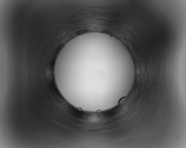 X0000089350663200706151102