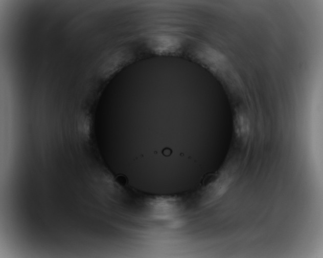 X0000089350664200706151102