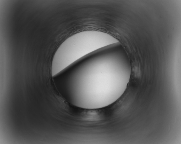 X0000089350665200706151102