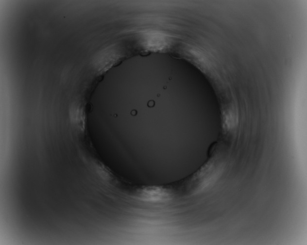 X0000089350666200706151102