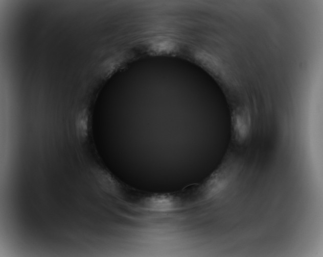 X0000089350668200706151102