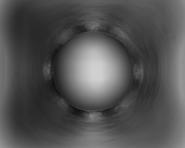 X0000089350670200706151102