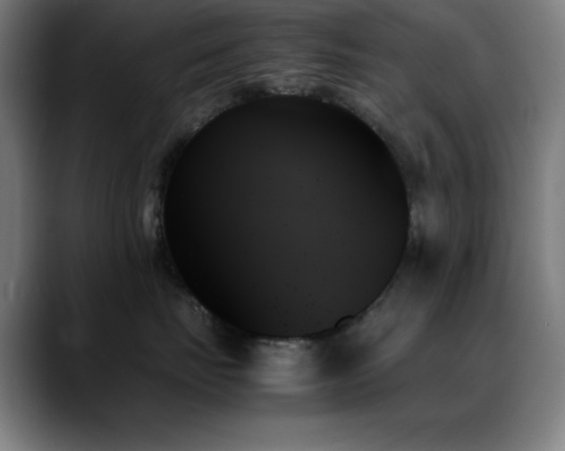 X0000089350671200706151102