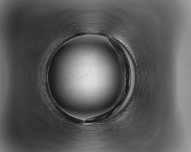 X0000089350673200706151102