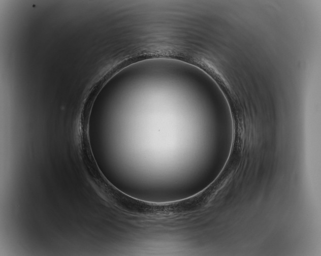 X0000089350674200706151102