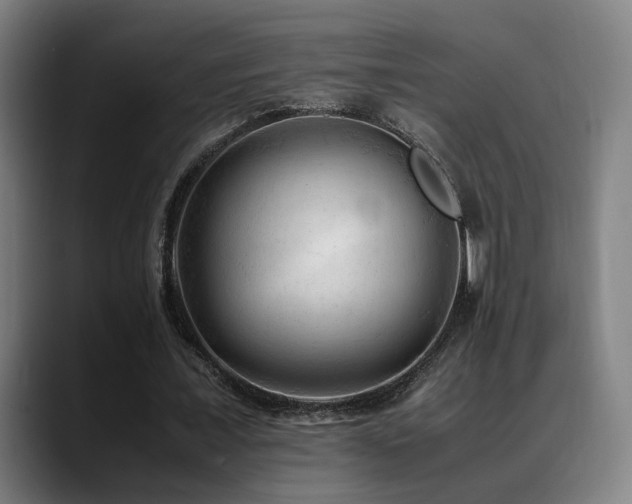 X0000089350675200706151102