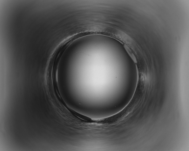 X0000089350676200706151102