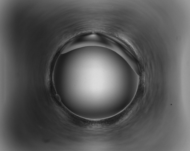 X0000089350677200706151102