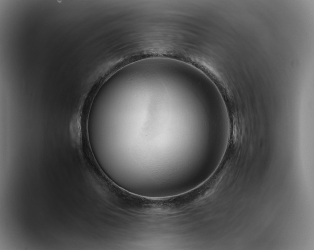 X0000089350678200706151102
