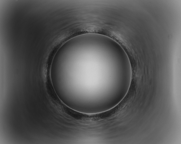 X0000089350679200706151102