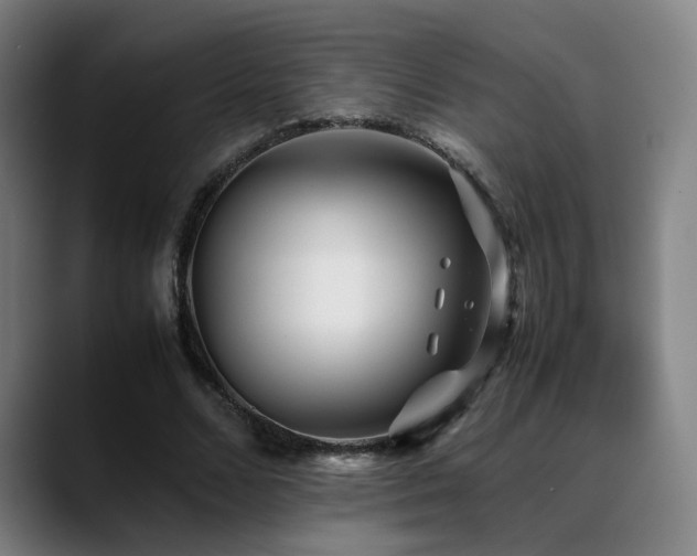 X0000089350680200706151102