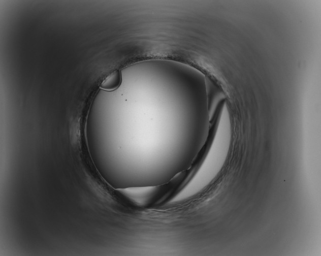 X0000089350681200706151102