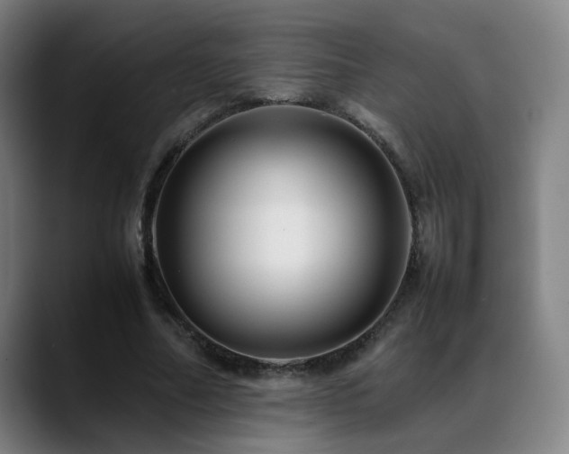 X0000089350682200706151102
