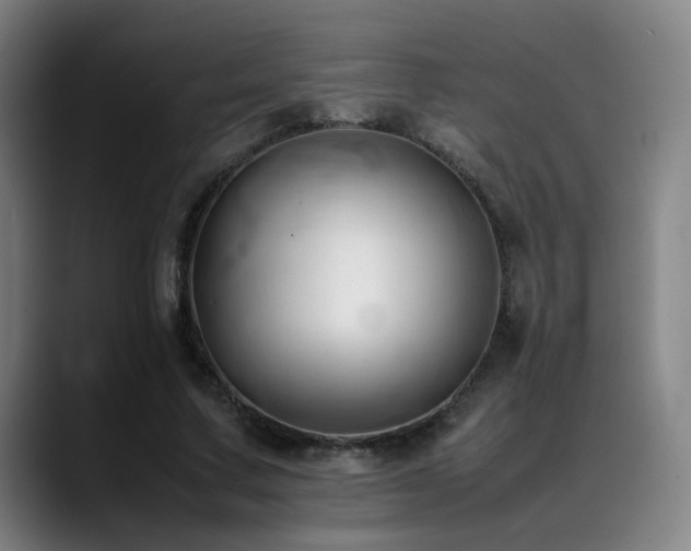 X0000089350683200706151102