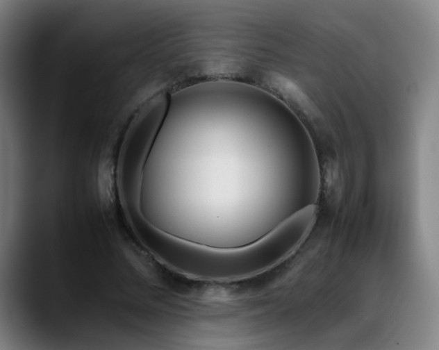 X0000089350684200706151101