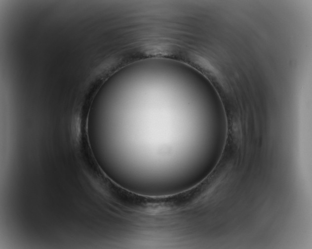 X0000089350686200706151101