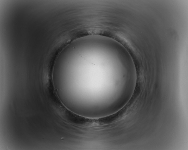 X0000089350687200706151101