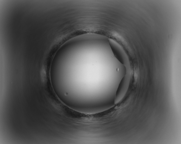 X0000089350688200706151101