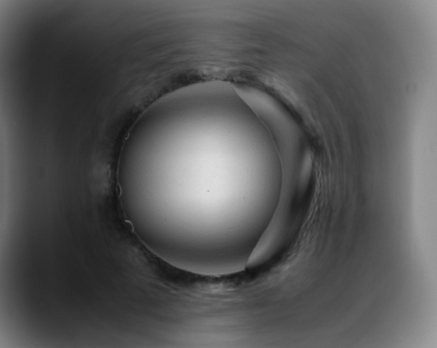 X0000089350689200706151101