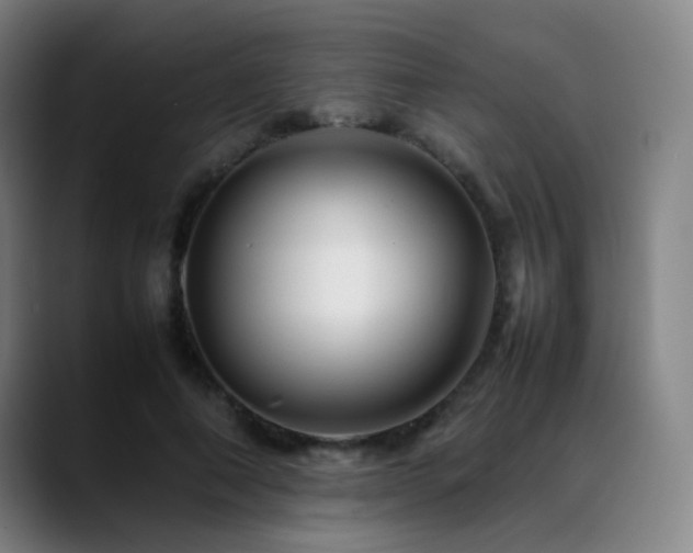 X0000089350690200706151101