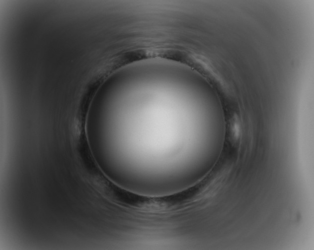 X0000089350691200706151101