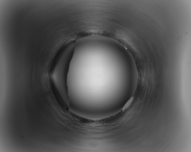 X0000089350692200706151101