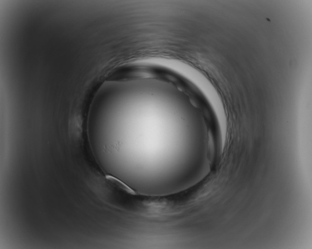 X0000089350693200706151101